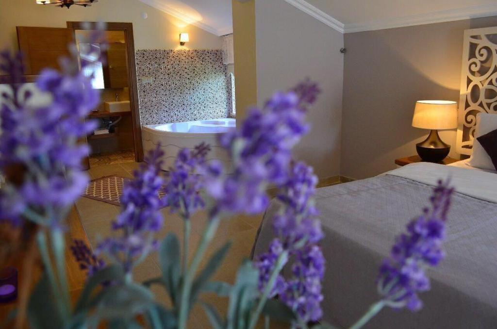 Agva Sweet Home River Hotel Dış mekan fotoğraf